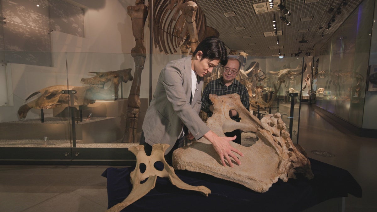 鈴木亮平が国立科学博物館にロケへ『世界遺産』～世界遺産でたどる